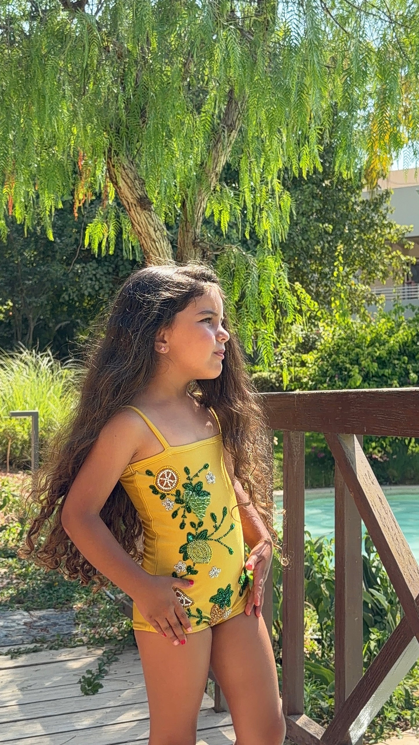 Lemonade