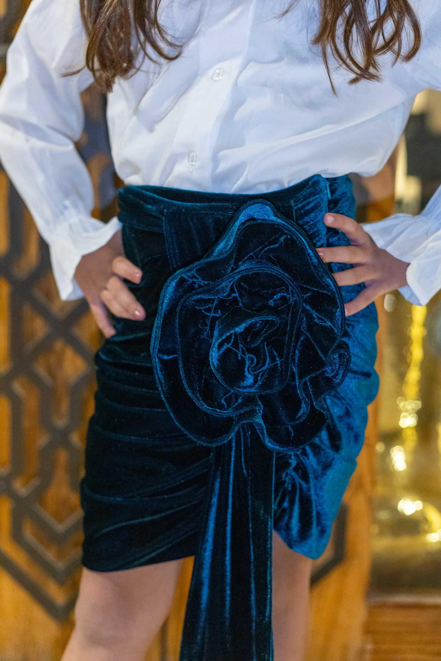 Velvet Skirt